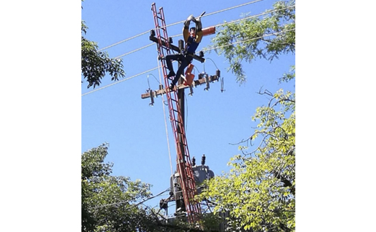 TRABAJOS EN LINEA VIVA MT